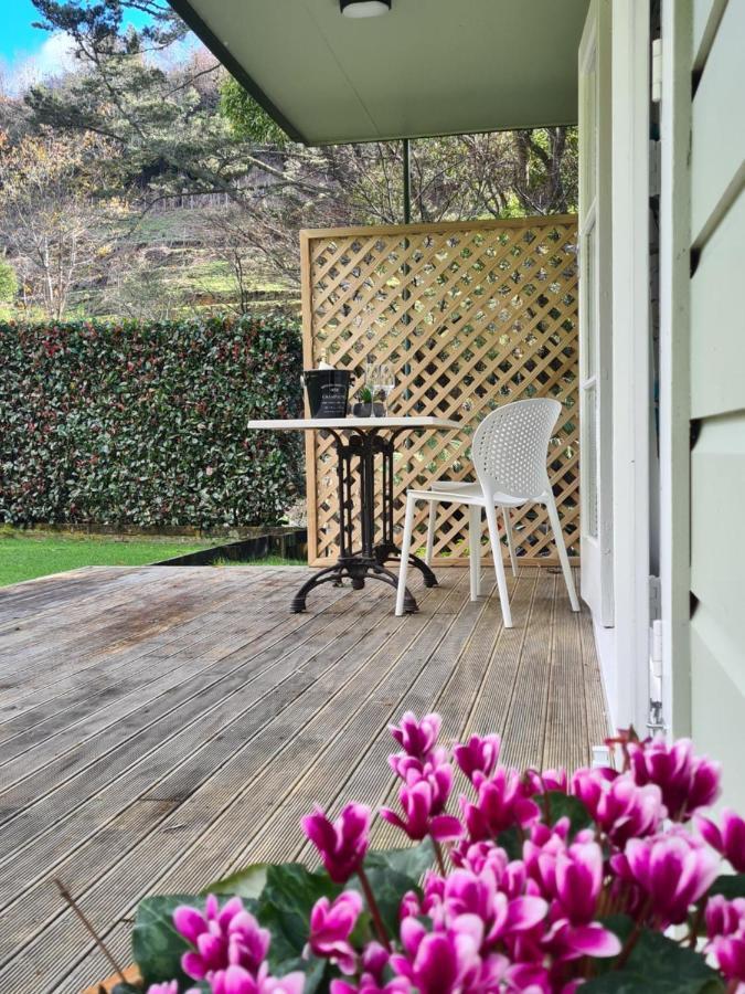 Ferienwohnung Pyes Pa Studio Tauranga Exterior foto